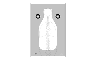 Action Target FBI Q Target w/ Vital Anatomy V2, Training Target, Black, White, and Gray, 23" x 35", 100 Per Box F-QANT-AV2-100