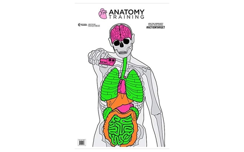 Action Target Anatomy Training Target, Multi Color, 23"x35", 100 Per Box GS-ANATOMY-100