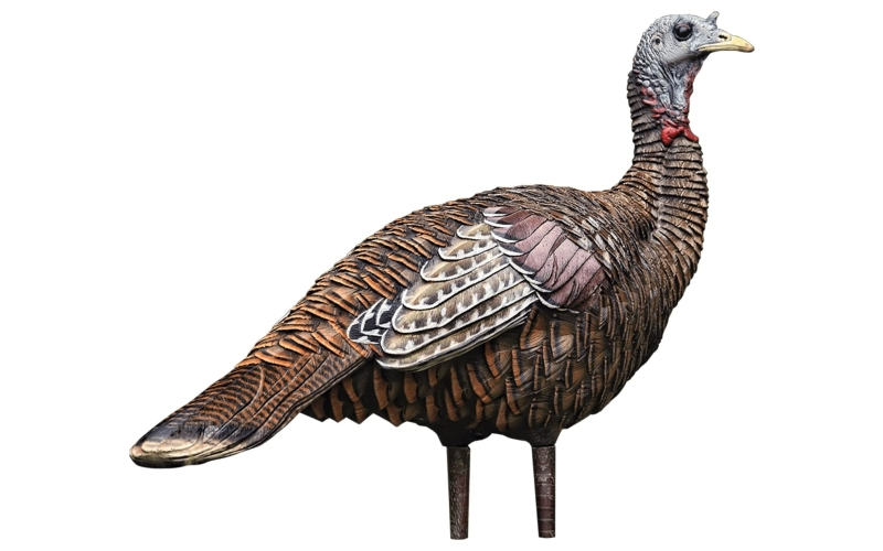 Avian-x lcd lookout hen turkey decoy