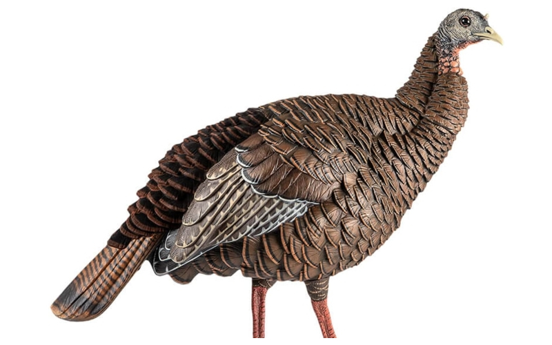 Avian-x hdr hen turkey decoy