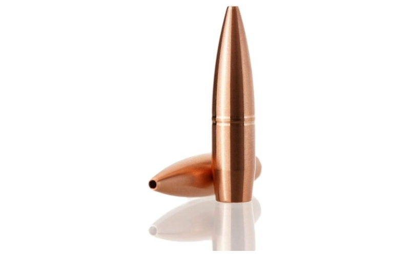 Maximus rifle hunting bullet bullets 0.308 165 gr 50rds
