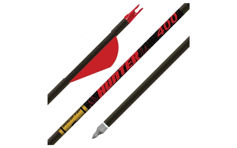 Gold tip hunter 300 2in raptor vanes - 1/2dz