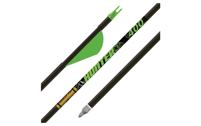 Gold tip hunter xt 400 2in raptor vanes - 1/2dz