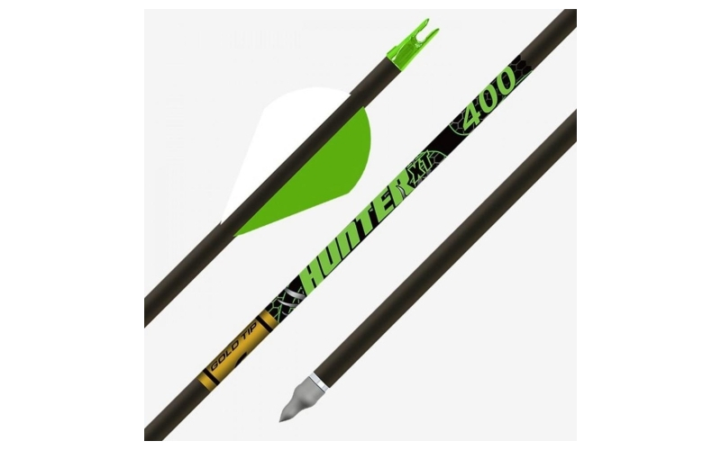 Gold tip hunter xt 500 2in raptor vanes - 1/2dz