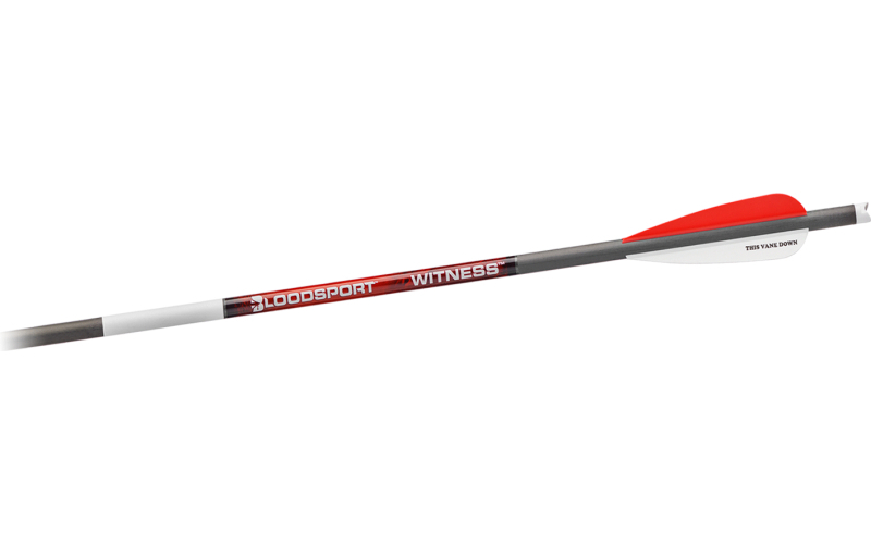 Witness 20in crossbow bolt 300 spine (6 pack)