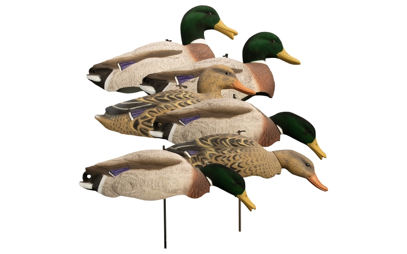 Higdon outdoors magnum full form shell mallard variety pk flocked heads