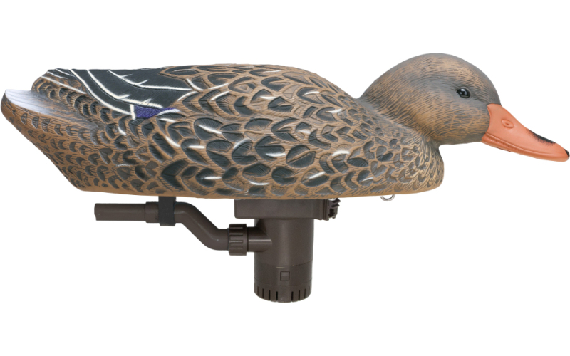 Higdon motion battleship swimmer pro mallard hen