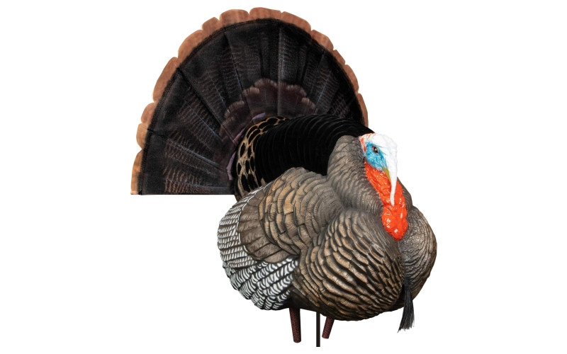 Higdon outdoors apex strutter hard body turkey