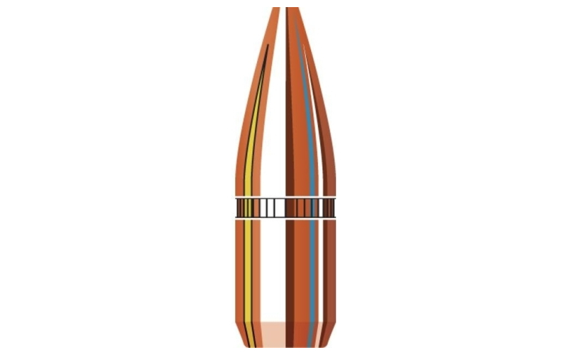 22 cal .224 55 gr hp 100 round bag