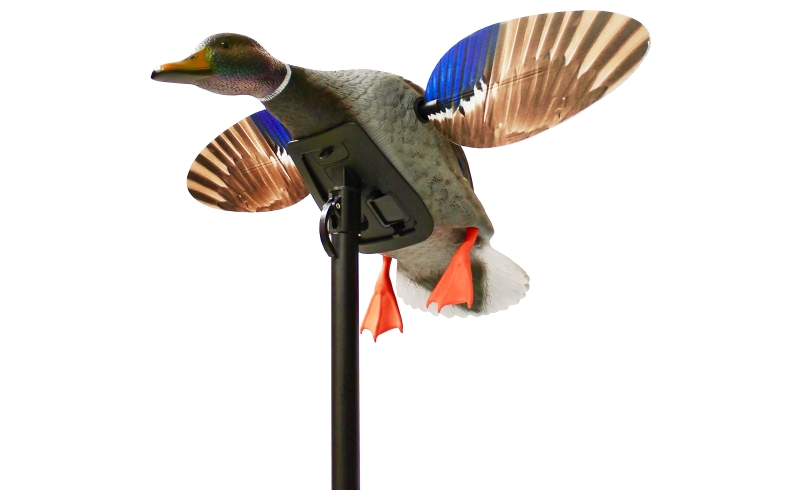 Mojo es -mini mallard drake