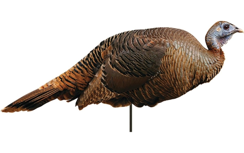 Montana decoy spring fling hen