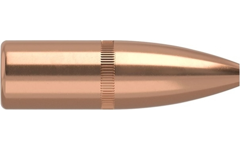 NOSLER 22 caliber (0.224'') 62gr hollow point flat base 100/box