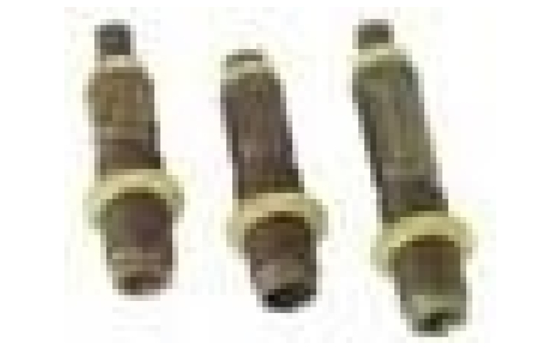 RCBS Rcbs 25-20 winchester die set