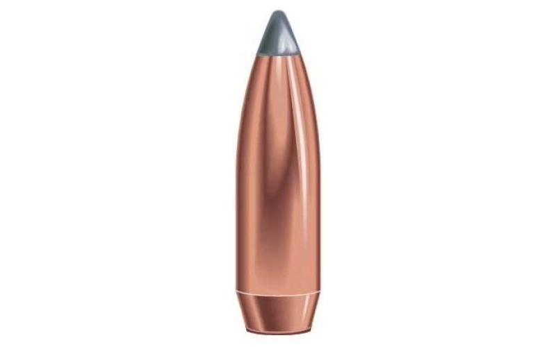 Speer Ammunition 375 caliber (0.375'') 270gr soft point 50/box