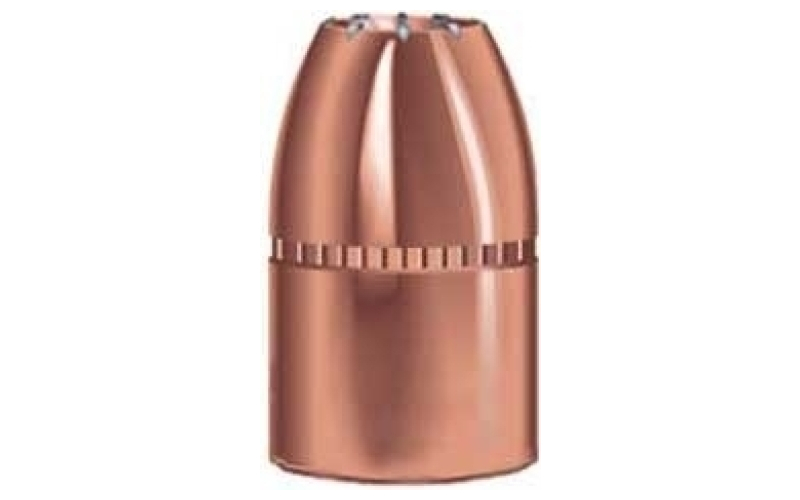 Speer Ammunition 45 caliber (0.452'') 300gr hollow point 50/box