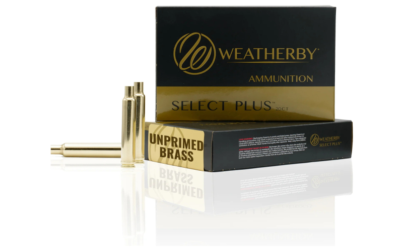 Wby brass .240 wby 20 count